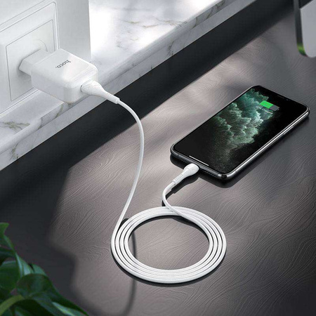Wall Charger USB 2.1A + Cable USB - Lightning Hoco N2 white