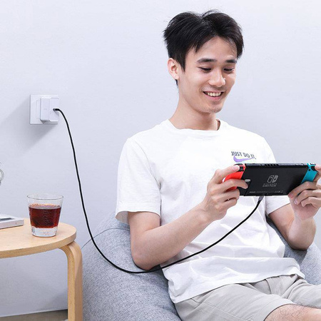 Ugreen Kabel USB Typ C - USB Typ C Power Delivery 100W Quick Charge FCP 5A 3m graues Kabel (90120 US316)