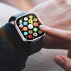 Case APPLE WATCH 7 (45MM) Dux Ducis Case silver