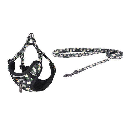 Dog set Dogness harness and leash (Daisy Black)