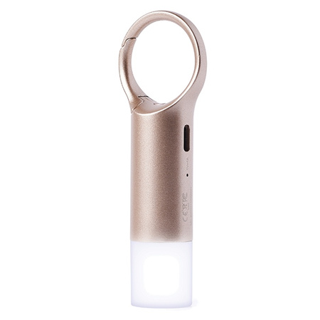 Lexon Nomaday Flash Brelok LEDzłoty/gold LL137D