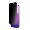 AmazingThing Radix Privacy Tempered Glass for iPhone 17