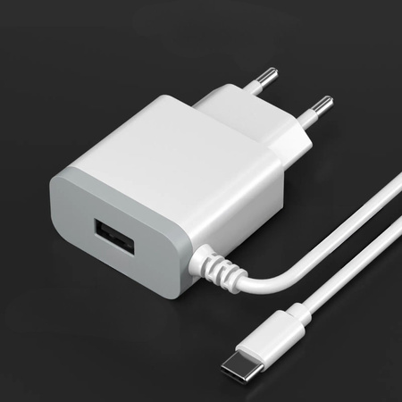 DENMEN BIAŁA ŁADOWARKA SIECIOWA USB +  KABEL TYP-C DC09T-W 2,4A