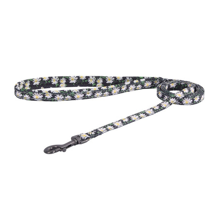 Dog set Dogness harness and leash (Daisy Black)