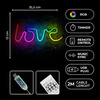 Neon LED RGB LOVE FLRN01 + pilot Forever Light