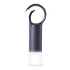 Lexon Nomaday Flash Brelok LEDszary/gun LL137X