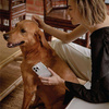 Etui IPHONE 14 UNIQ Coehl Solitaire transparentne