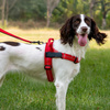 Szelki dla psa REFLECTIVE SILK rozmiar XL czerwone