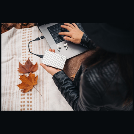 Dysk zewnętrzny Verbatim Store n Go USB  3.0 HDD 1TB srebrny 53197