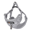Dog set Dogness harness and leash (Light Grey)