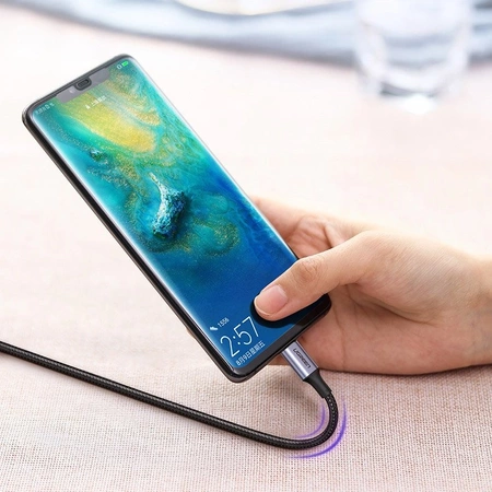 Ugreen cable USB Type C - USB Type C 5 A 100 W Power Delivery Quick Charge 3.0 FCP 480 Mbps 1 m black (70427 US316)