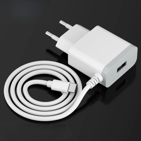 DENMEN BIAŁA ŁADOWARKA SIECIOWA USB +  KABEL TYP-C DC09T-W 2,4A