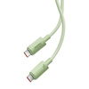 Kabel szybko ładujący Baseus USB-C do USB-C Habitat Series 100W, 1m (zielony)