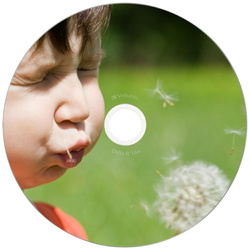 Płyta DVD-R Verbatim Wide Inkjet         Printable 4.7GB 16X 25szt 43538