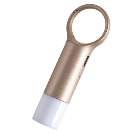 Lexon Nomaday Flash Brelok LEDzłoty/gold LL137D