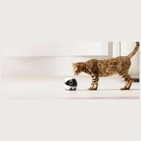 Inteligentny robot towarzyszący ENABOT ROLAMINI