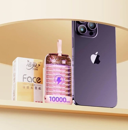 Joyroom Mini-Powerbank 10000 mAh Colourful Series 22,5 W mit 2 integrierten USB-C- und Lightning -Kabeln rosa (JR-L012)