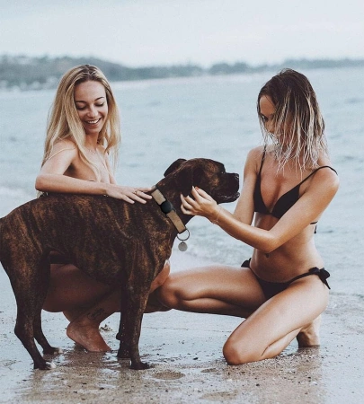 Etui na Apple AirTag silikonowe na obrożę psa lub kota - czarne