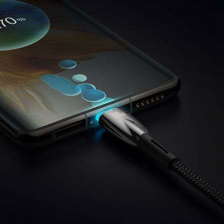 BASEUS kabel Typ C do Typ C Power delivery 100W Glimmer Series CADH000801 2m czarny