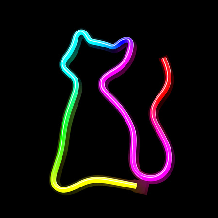 Neon LED RGB KOT FLRN03 + pilot Forever Light