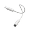 DENMEN ADAPTER HF TYP-C DO JACK 3.5 CALA BIAŁY AUDIO JACK DU01