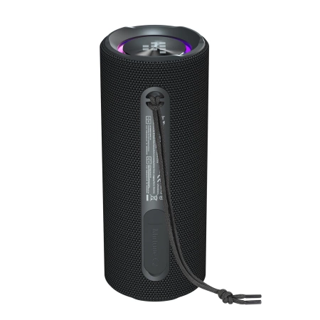 Tronsmart Mirtune C2 24W Bluetooth Portable Speaker - Black
