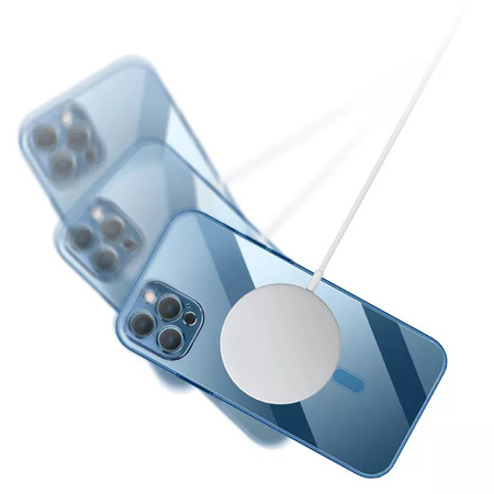 Tel Protect Magsafe Luxury Case do Iphone 11 Pro Miętowy