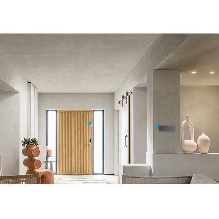 Sonoff inteligentny 2-kanałowy przełącznik ścienny Wi-Fi czarny (M5-2C-86)