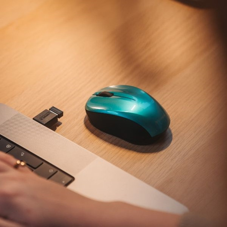 Verbatim Mysz bezprzewodowa Go Nano 1600 dpi niebieski/blue 49044